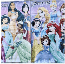 Princess Banner