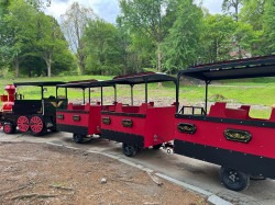 Trackless Train (18-24 passengers)